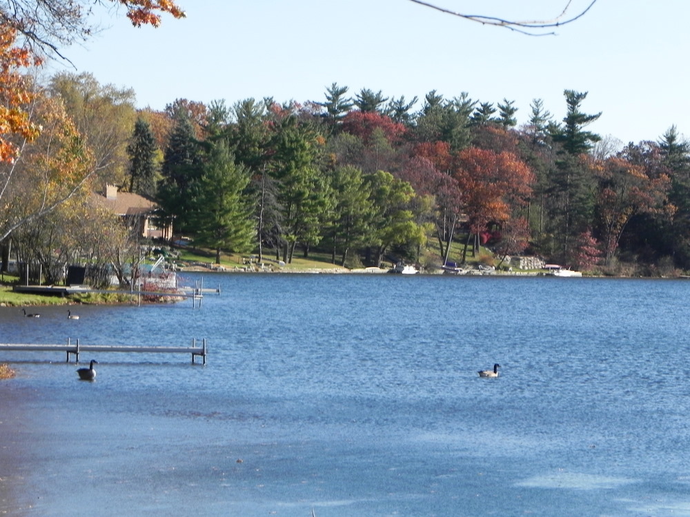 DUCK LAKE ORION TOWNSHIP MICH